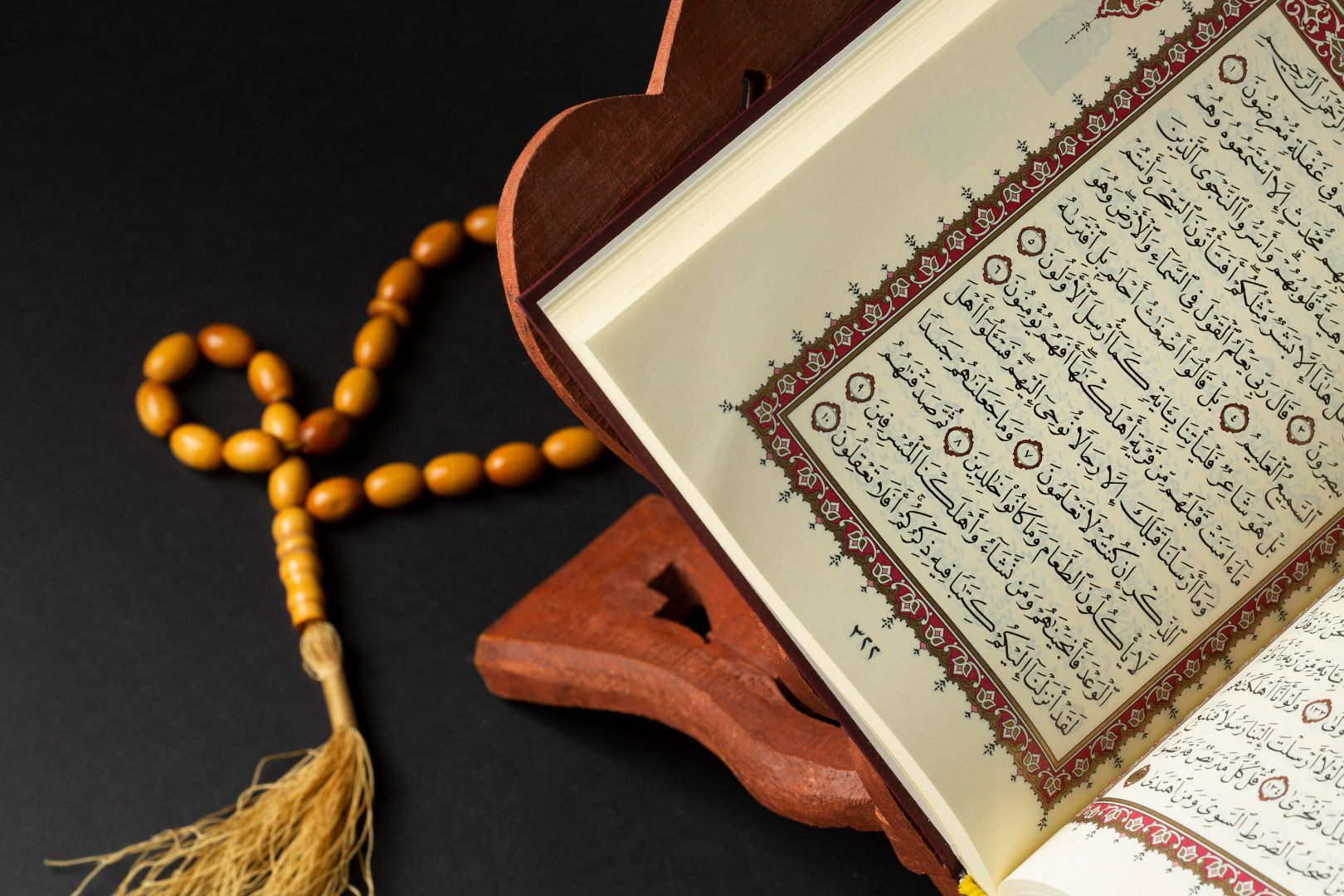 Quran and Islamic studies